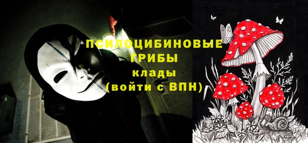 гашиш Няндома